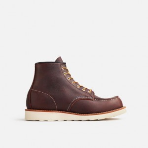 Red Wing 6-Inch Boot in Briar Oil-Slick Leather | KR6208497