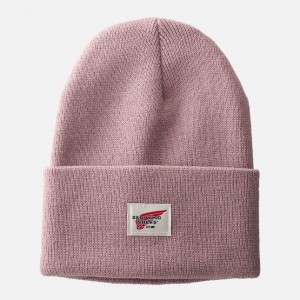 Red Wing Cuffed Beanie Hat in Pale Rose | RL5637984