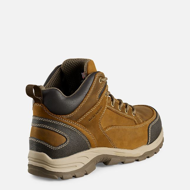 Red Wing 5-inch Safety Toe Hiker Boot | MU1456032