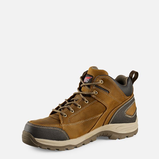 Red Wing 5-inch Safety Toe Hiker Boot | MU1456032