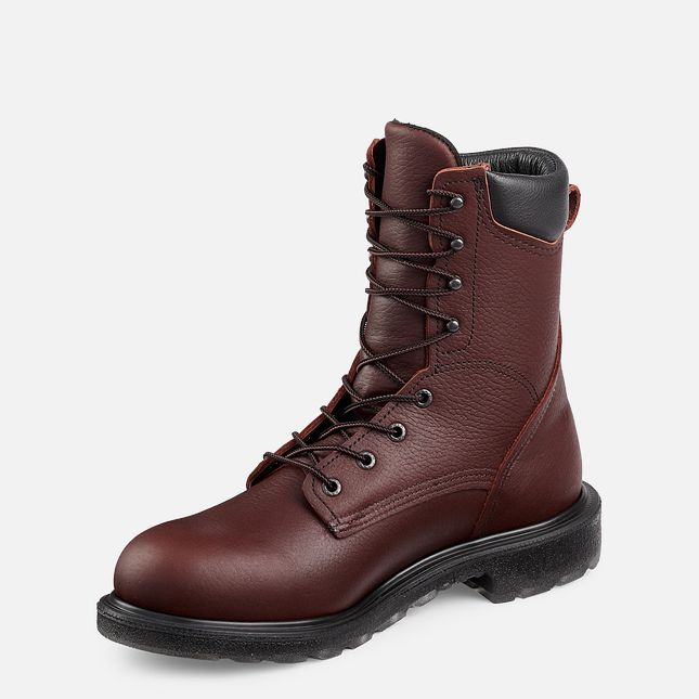 Red Wing 8-inch Safety Toe Boot | CY8261479