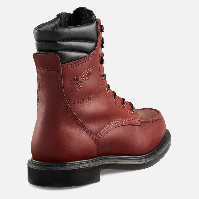 Red Wing 8-inch Soft Toe Boot | RF3158467