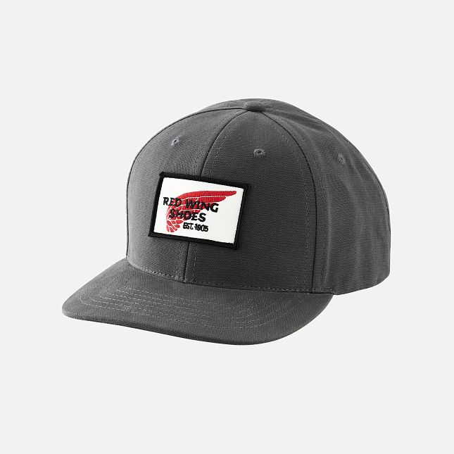 Red Wing Embroidered Logo Ball Cap in Gray | CQ1750498